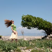 Le vent sur l'arbre, du 3 au 7 août 2019.