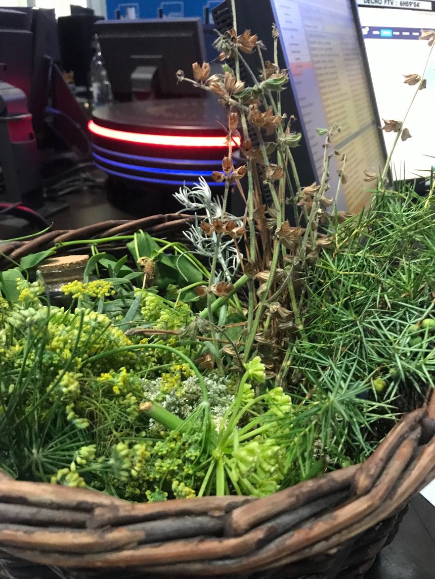 Un panier d'herbes et de plantes pour arômatiser les mets