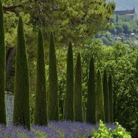 Bonnieux, Luberon
