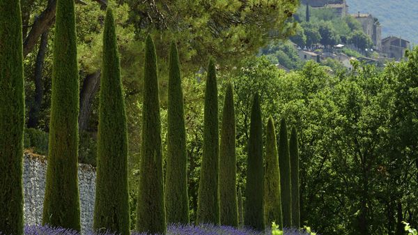 L'Agenda de l'été de Charlotte Landru-Chandès : le Festival de Quatuors du Luberon avec Camille Pépin
