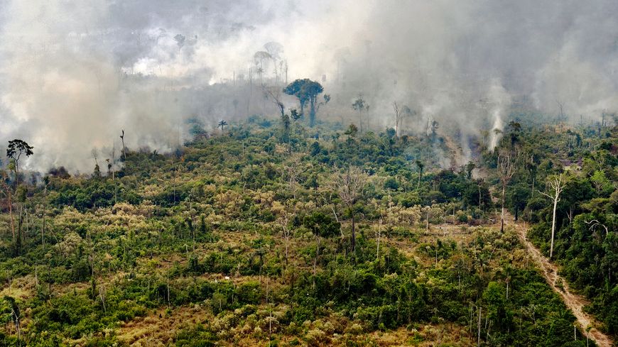 Une zone de la forêt amazonienne en train de brûler, le 25 août 2019.