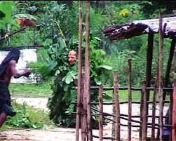 Capture écran de la vidéo filmée par Julien Bonhomme en 2002 au Gabon.