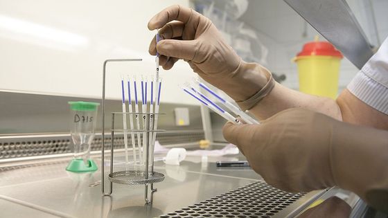 En France, autour de 3% des naissances se font grâce à une procréation médicalement assistée ©Getty - BSIP / Contributeur