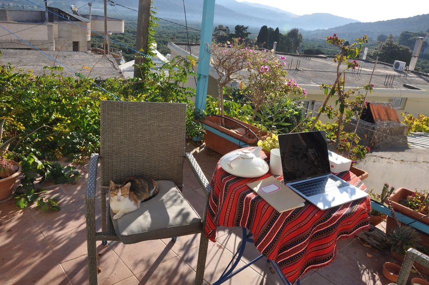 Lorsqu'elle a commence à écrire 'Le Feuilleton d'Artémis', Murielle Szac a vu s'installer sur une chaise, en face de sa table de travail, une petite chatte tigrée