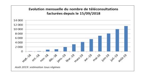 En cette rentrée 2019, environ 3 300 téléconsultations sont réalisées chaque semaine, selon l'Assurance maladie.