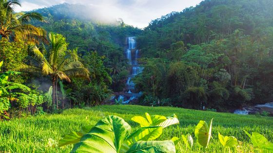 site de rencontre indonésienne