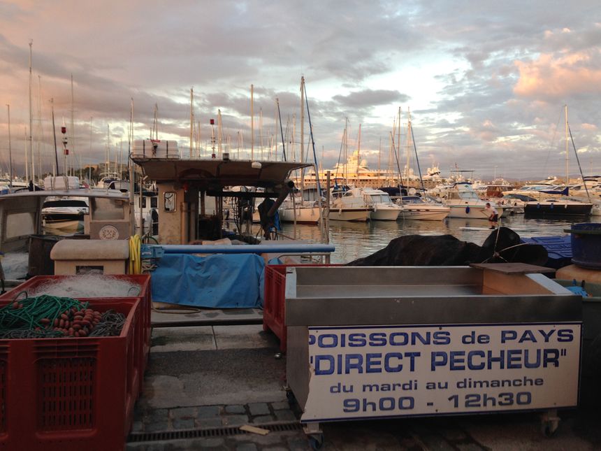 En direct avec les pêcheurs: le banc d'antibes