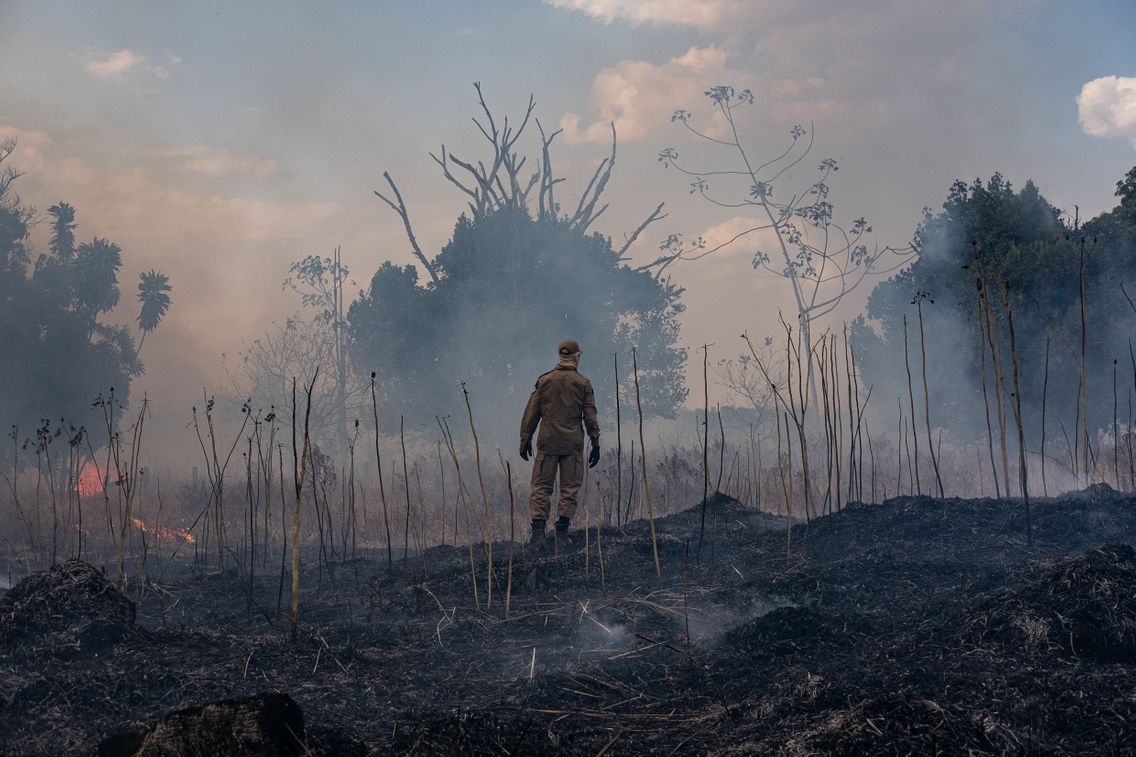 Incendies Et Deforestation Bresil Et Colombie Deux Approches De L Amazonie