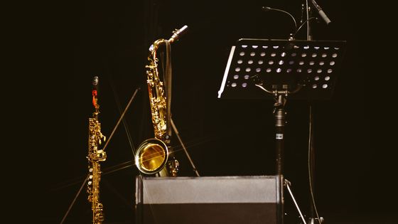 Un site pour les professionnels de la musique ©Getty - Alexandre Sorokopud