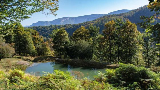 Vercors Vie Sauvage - ASPAS : Association pour la protection des animaux sauvages