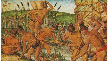 Récolte dans une rizière avec des bambous. Gravue de Théodore de Bry, 1585. - Wikicommons via Wikipedia