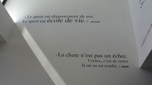 Aimé Jacquet et Socrate
