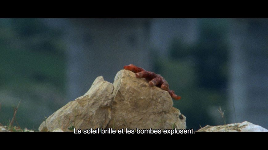 "Ne croyez surtout pas que je hurle" film de Franck Beauvais