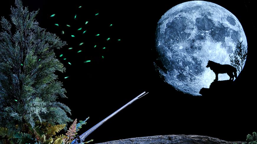 La lune et la louve Installation de Jonathan Watts avec les collections du MEG Suisse, Genève 2018.