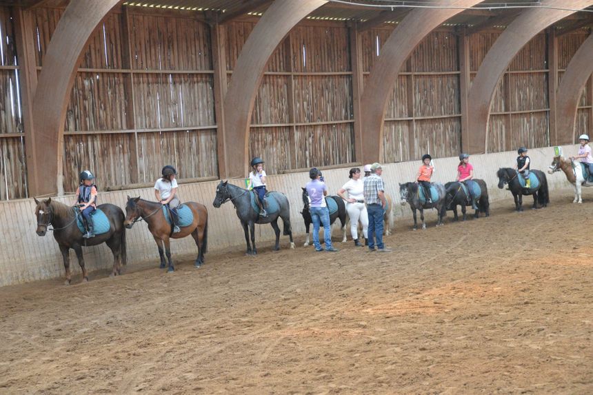 Portes Ouvertes du Haras de SainteEugénie (61)