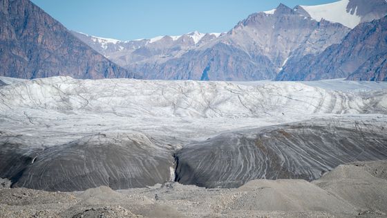 Un glacier dans le Canada Arctique ©Getty - picture alliance / Contributeur
