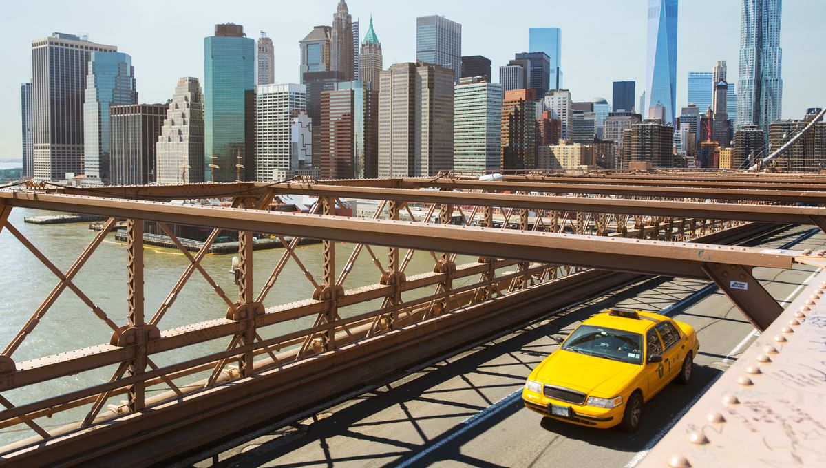 Les 100 mots de New York