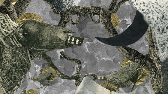 Couverture de l'ouvrage - madame - Éditions h'artpon (2019)