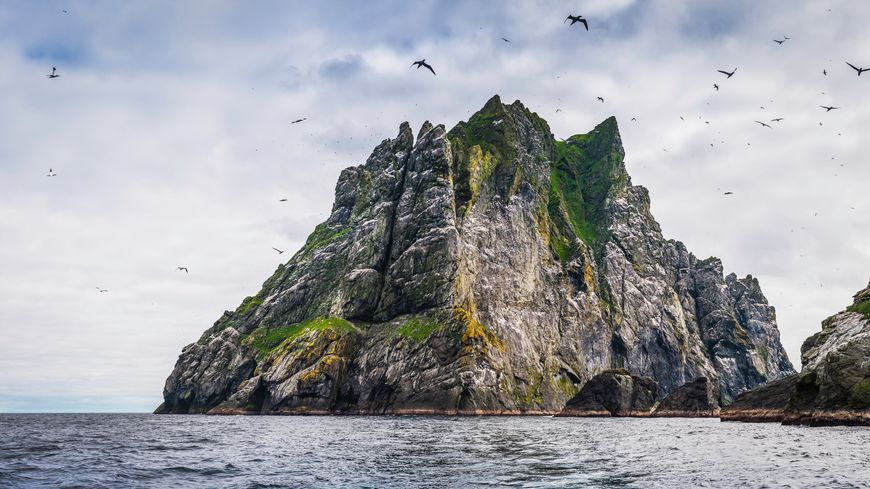 Oiseaux de mer survolant les spectaculaires falaises insulaires de St Kilda, Écosse
