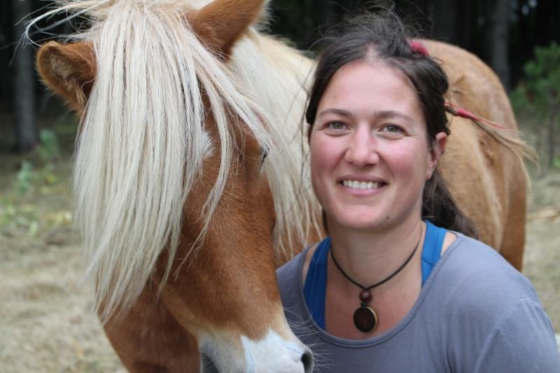 Marion Mountain Pony