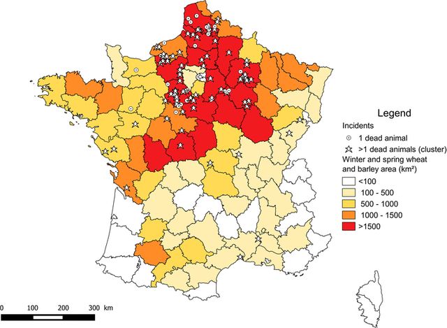 Cas suspects d'oiseaux empoisonnés entre 1995 et 2014, principalement localisés dans le centre-nord de la France, zones de culture intensive de céréales.