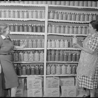 La fermentation est-elle passée de mode?
