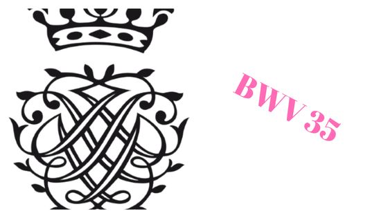 Cantate BWV 35
