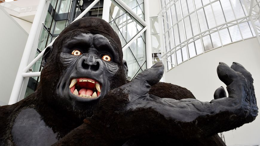 A l'entrée de l'exposition Opéra Monde, un buste de King Kong conçu par la scénographe polonaise Malgorzata Szczesniak pour L'Affaire Makropoulos de Janacek à l'Opéra de Paris