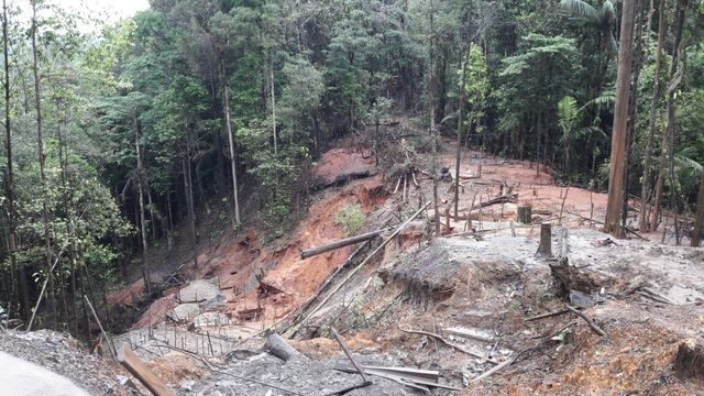 A Cacao la forêt a été éventrée par les orpailleurs illégaux.