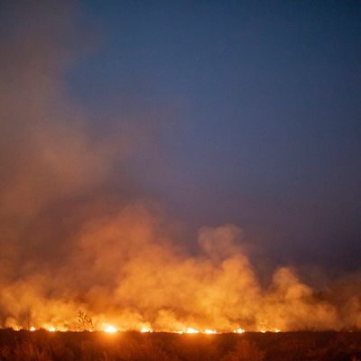 Un incendie s'est déclaré incontrôlable après s'être propagé sur une ferme le long d'une autoroute située dans le nord de l'État de Mato Grosso, au sud du Brésil (23 août 2019).