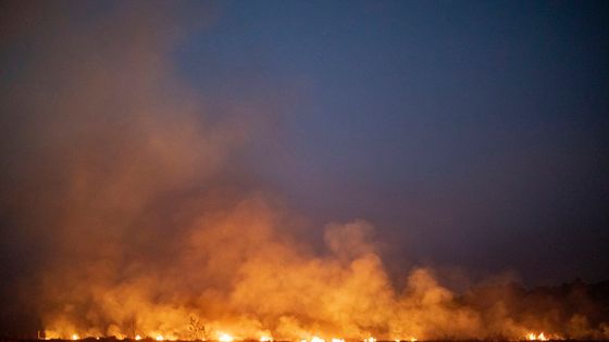 Un incendie s'est déclaré incontrôlable après s'être propagé sur une ferme le long d'une autoroute située dans le nord de l'État de Mato Grosso, au sud du Brésil (23 août 2019). ©AFP - Joao Laet