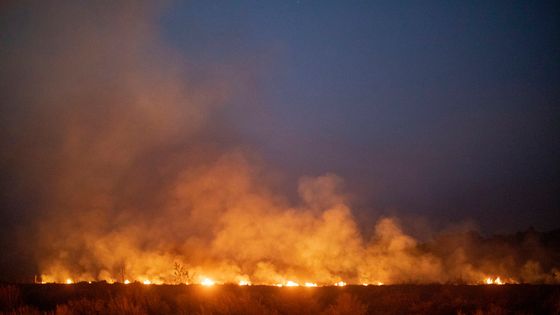 Incendie à Nova Santa Helena, municipalité brésilienne située dans l'État du Mato Grosso (Brésil) le 23 août 2019 ©AFP - Joao LAET / AFP