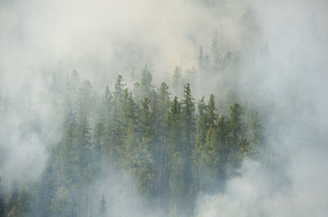 La forêt sibérienne en feu (photo prise le 4 août 2019 dans la région de Krasnoyarsk)