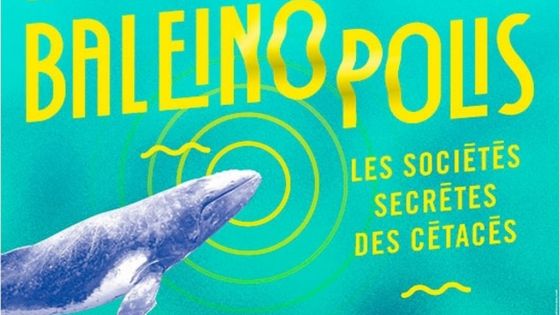 Détail de l'affiche "Baleinopolis" jusqu'au 8 juin 2020 à l'Aquarium Tropical de la Porte Dorée
