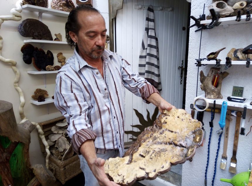 Pascal Double façonne également des champignons d'amadou.