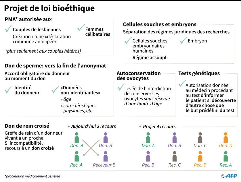 Projet De Loi Bioethique A L Assemblee Nationale Quelle Mobilisation Politique