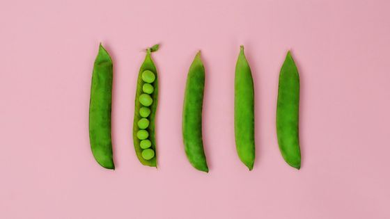 Photo de petits pois prise aux Etats-Unis par le photographe Juj Winn / collection Moment - Getty ©Getty - Juj Winn