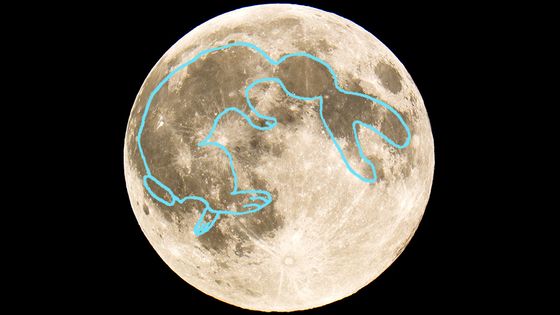 Sur la photo, on peut voir le pilon et le récipient avec lesquels le lapin de la lune pile l'élixir d'immortalité ©Getty