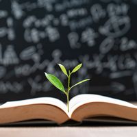 Enseignement de la transition écologique