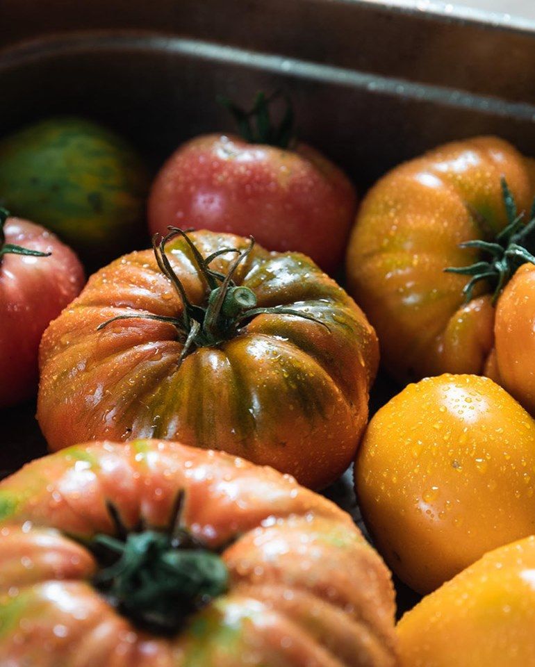 Tomates du jardin de la Maison Aribert