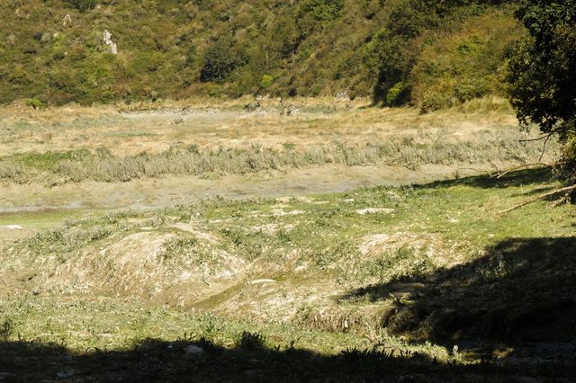 Vasière, estuaire du Gouessant.