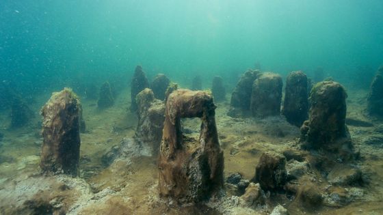 Site archéologique, à la presqu'île de Duingt, le "Roselet". On peut y voir un ensemble d'anciens pilotis d'habitations de l'âge du bronze, appelées "lacustres". A l'époque, le niveau du lac se trouvait quelques mètres au-dessus de son niveau actuel. ©Getty - Xavier DESMIER /Gamma-Rapho