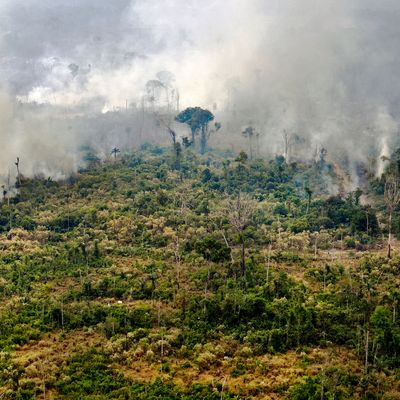 BRAZIL - FIRE - AMAZON