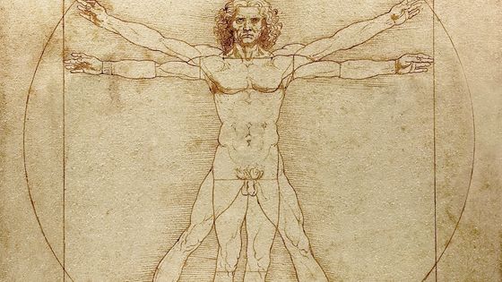 L'Homme de Vitruve, un des symboles de l'humanisme - Léonard de Vinci