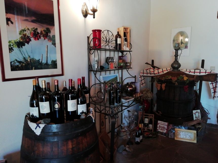 Salle de dégustation du Domaine Arretxea à Irouléguy