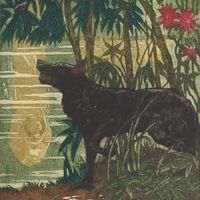 Illustration de M. de Becque extraite d'une édition de 1930 parue aux éditions Kra