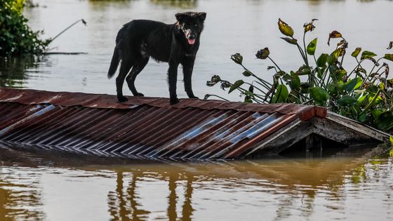 La fin du monde ? ©AFP - KRIT PHROMSAKLA NA SAKOLNAKORN / THAI NEWS PIX / AFP