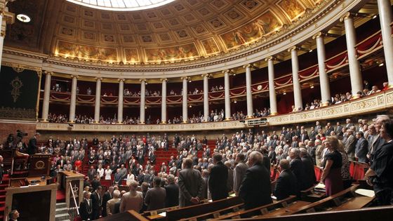 Députés à l'Assemblée nationale ©AFP - Patrick Kovarik