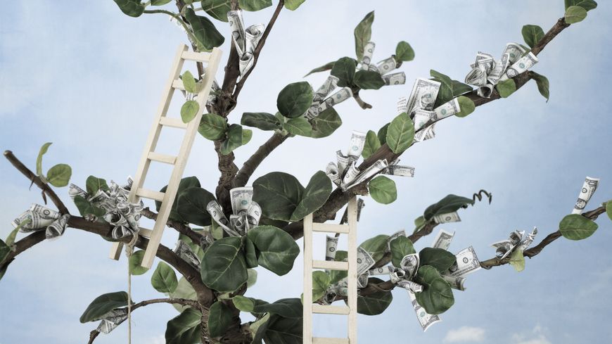 Le boom des monnaies locales