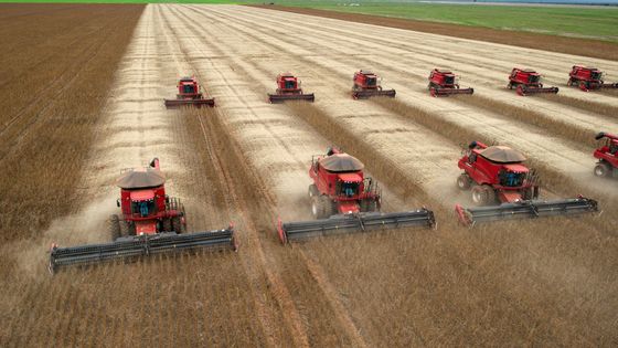 La guerre commerciale sino-américaine a des conséquences sur les importations de soja brésilien. (Ici, champs de soja à Novo Campo Parecis au Brésil en 2013) ©AFP - YASUYOSHI CHIBA